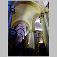 Tui, photo Zarateman, Wikipedia,3.jpg